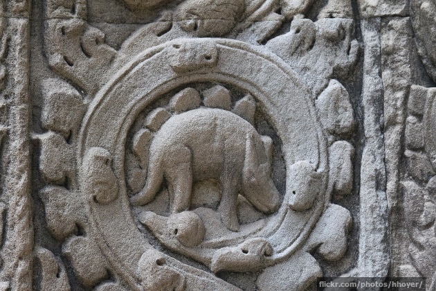 The Ta Prohm stegosaurus