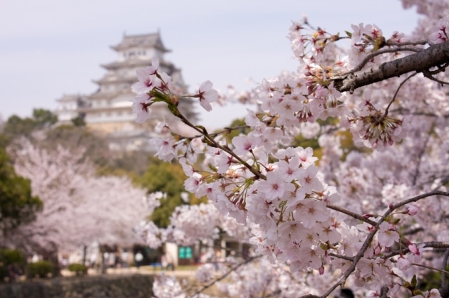 Himeji Castle, Himeji, Japan Himeji Castle, Himeji, Japan