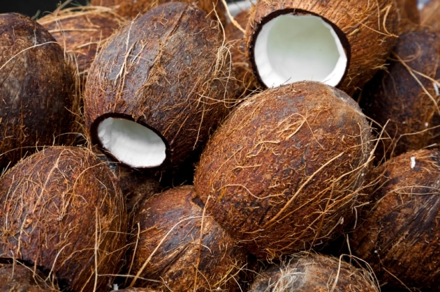 The Caribbean | Coconut