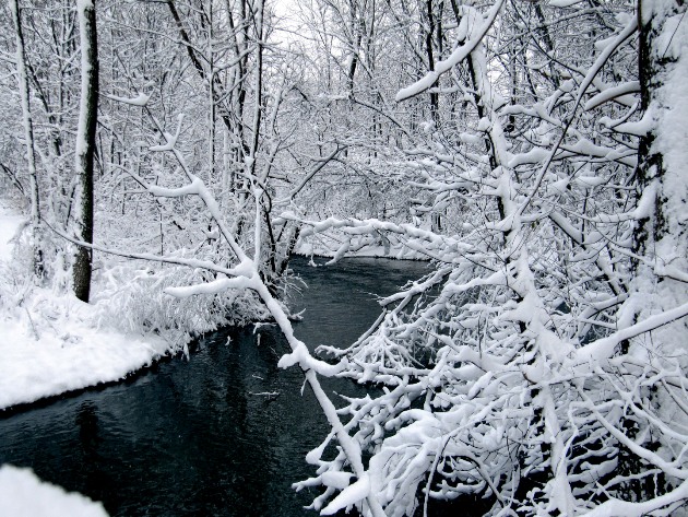 Scandinavia | Cold Scandinavia | Cold