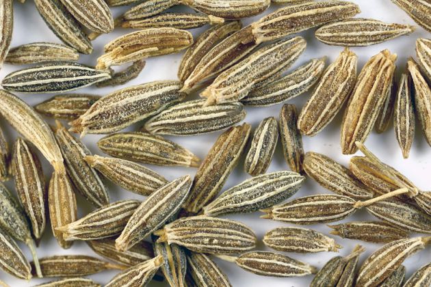Cumin seeds Cumin seeds