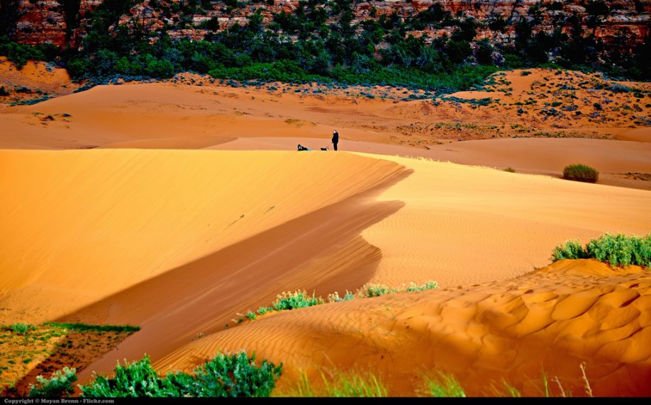 Sand dunes