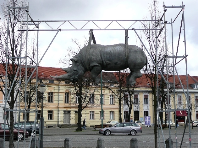 Hanging rhino in Potsdam Hanging rhino in Potsdam