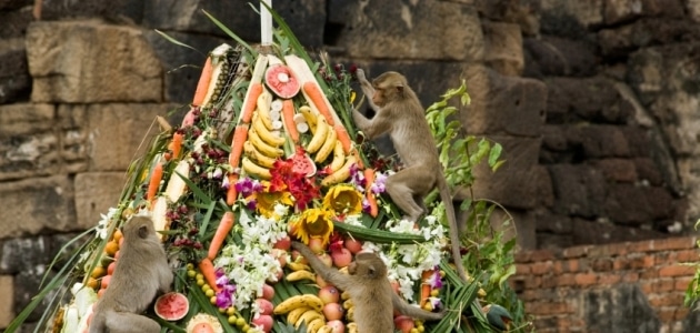 5 festivals from around the world