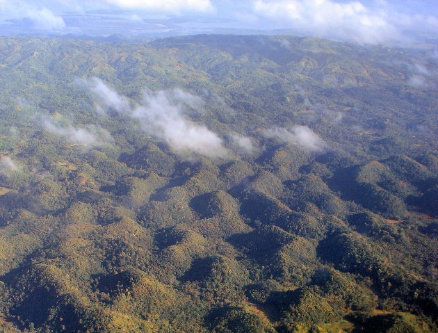 An aerial view of the Chocolate Hills