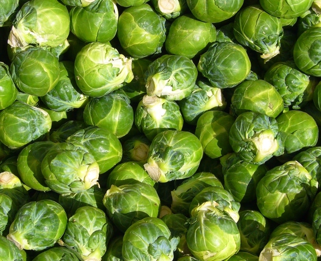 Brussels sprouts Brussels sprouts