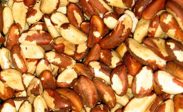 Unshelled brazil nuts