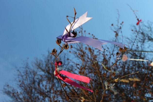 Branches decorated with ribbons