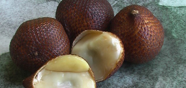 Salak | Unusual fruit from around the world