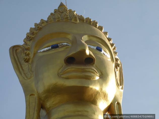 Buddha's head Buddha's head