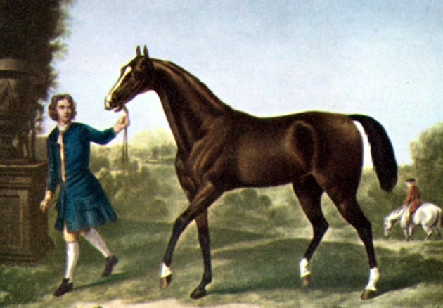 A painting of the Darley Arabian