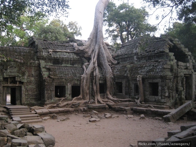 Ta Prohm is being retaken by the jungle