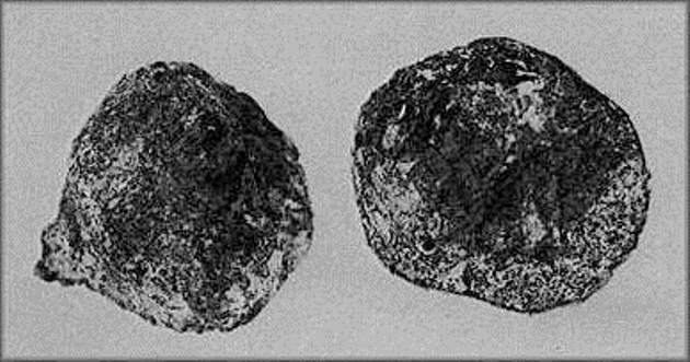 The outer casing surrounding the Coso artefact