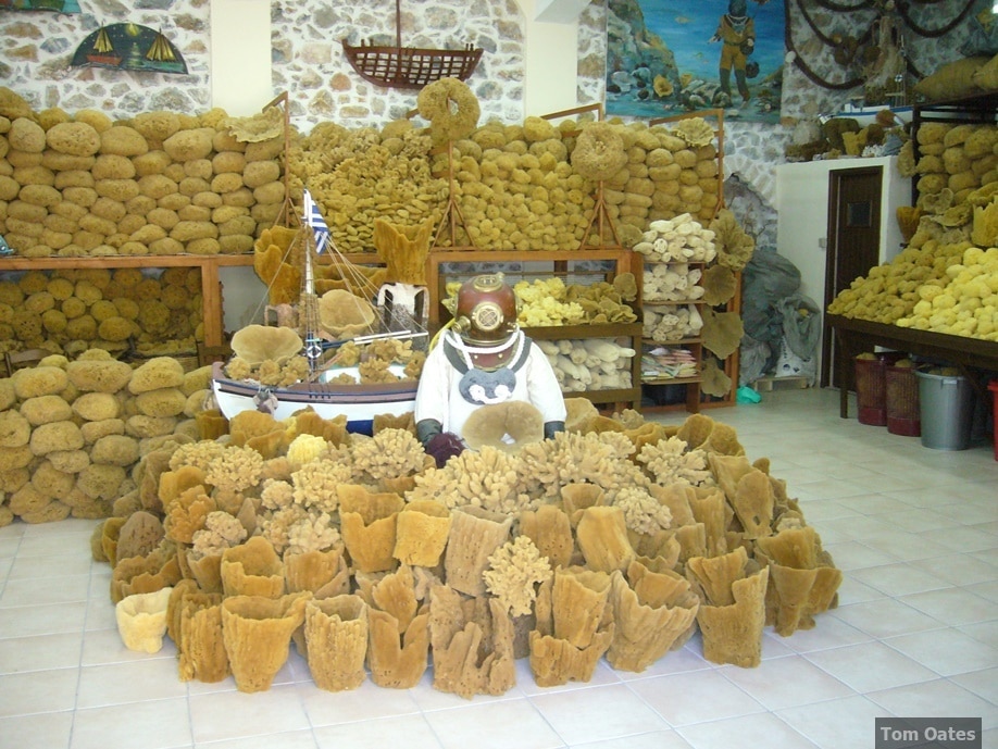 Sponge for sale