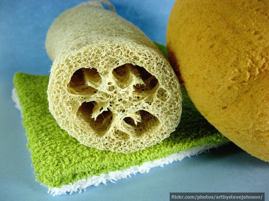 Loofah