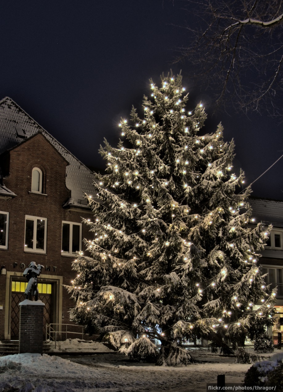 Christmas tree in Hamburg