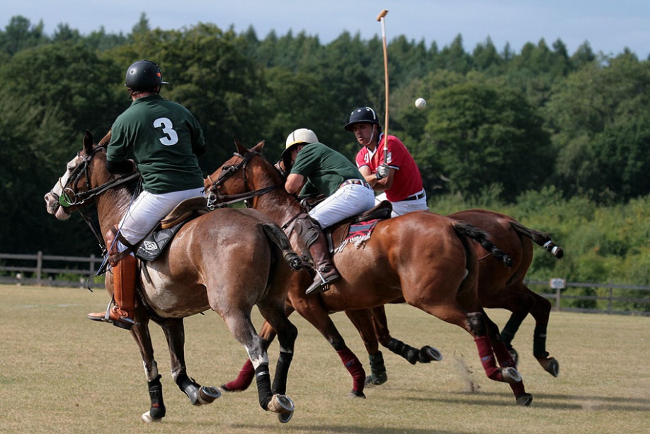 Polo
