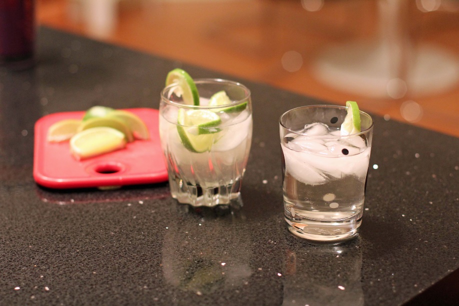 Homemade gin and tonic