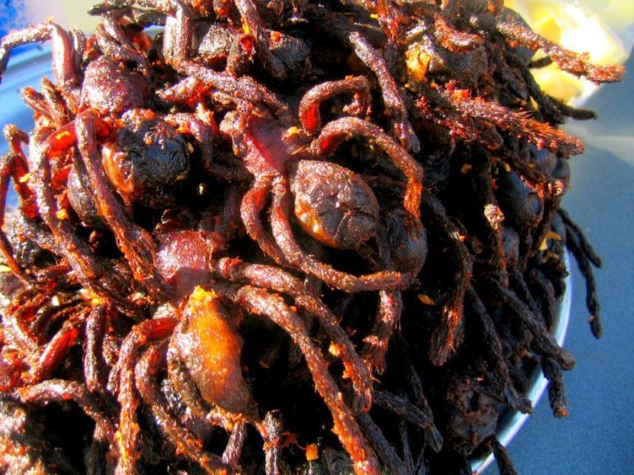 Fried spiders