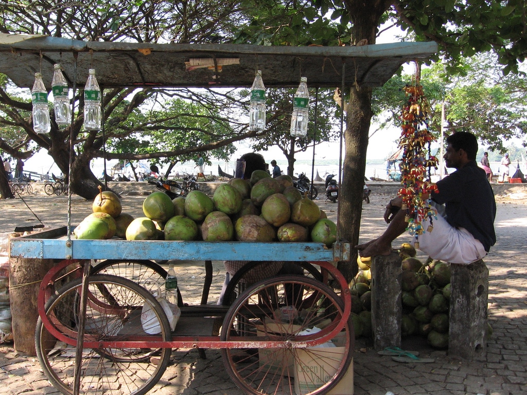Coconuts: What are they and what do they do?
