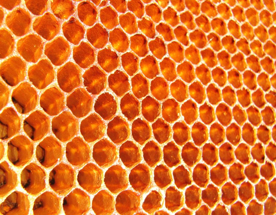 Honeycomb