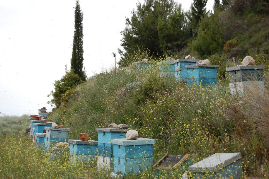 Beehives in Greece
