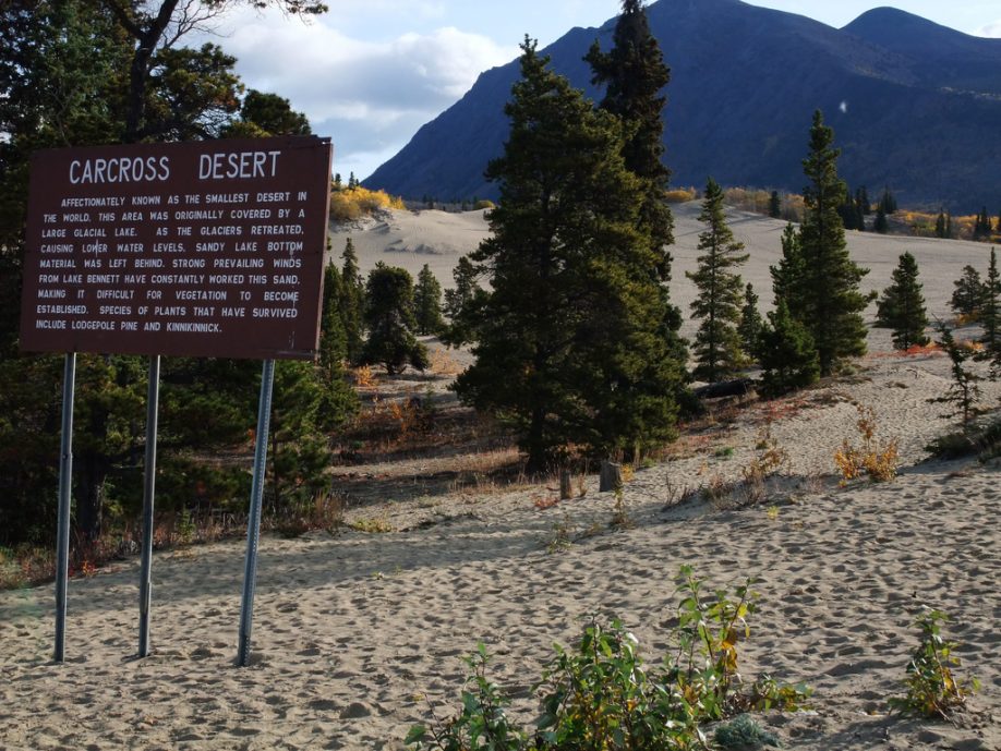 Carcross Desert