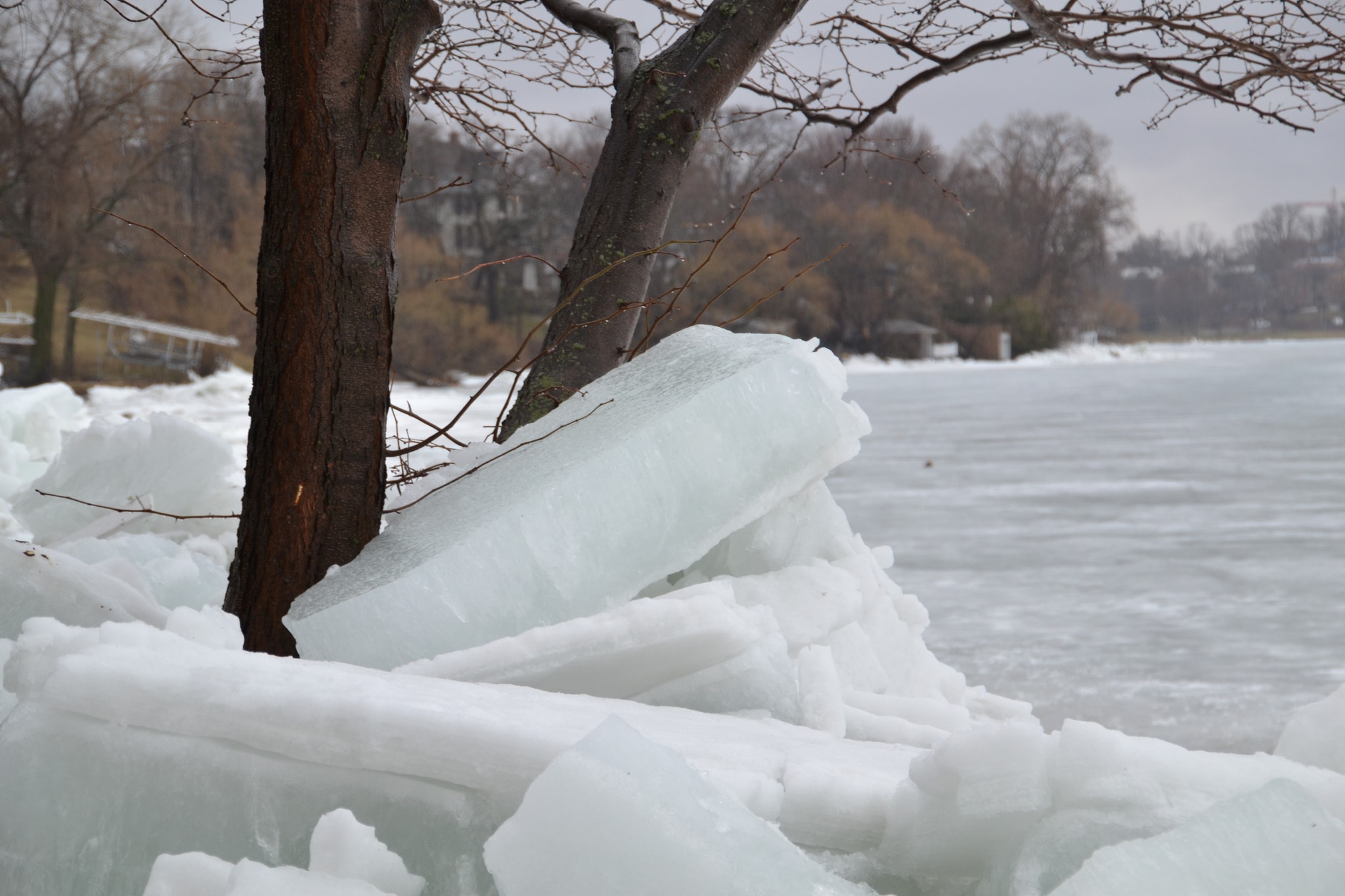 Ice shoves Incredible frozen waves that get blown ashore by the wind