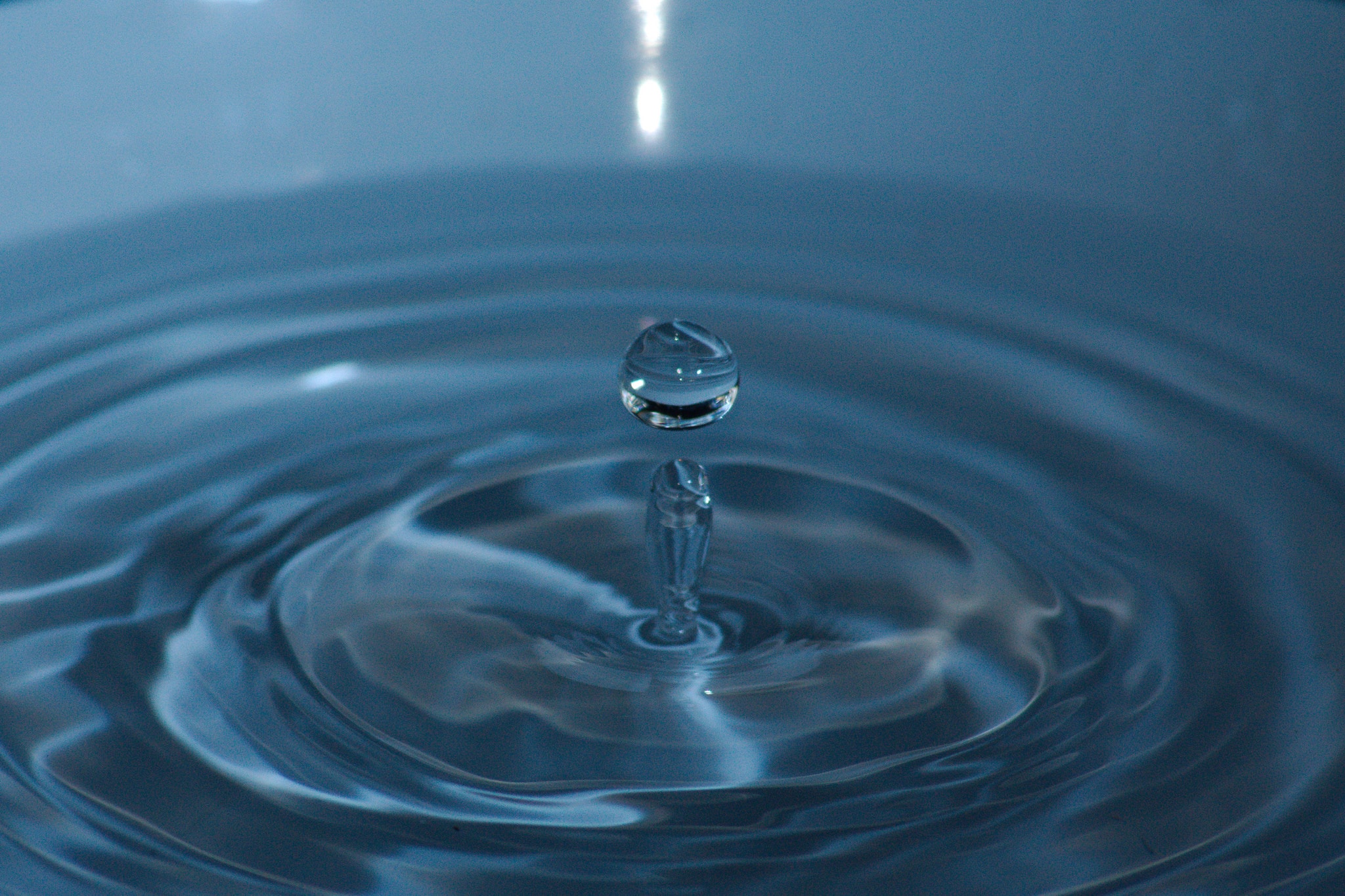 Splash