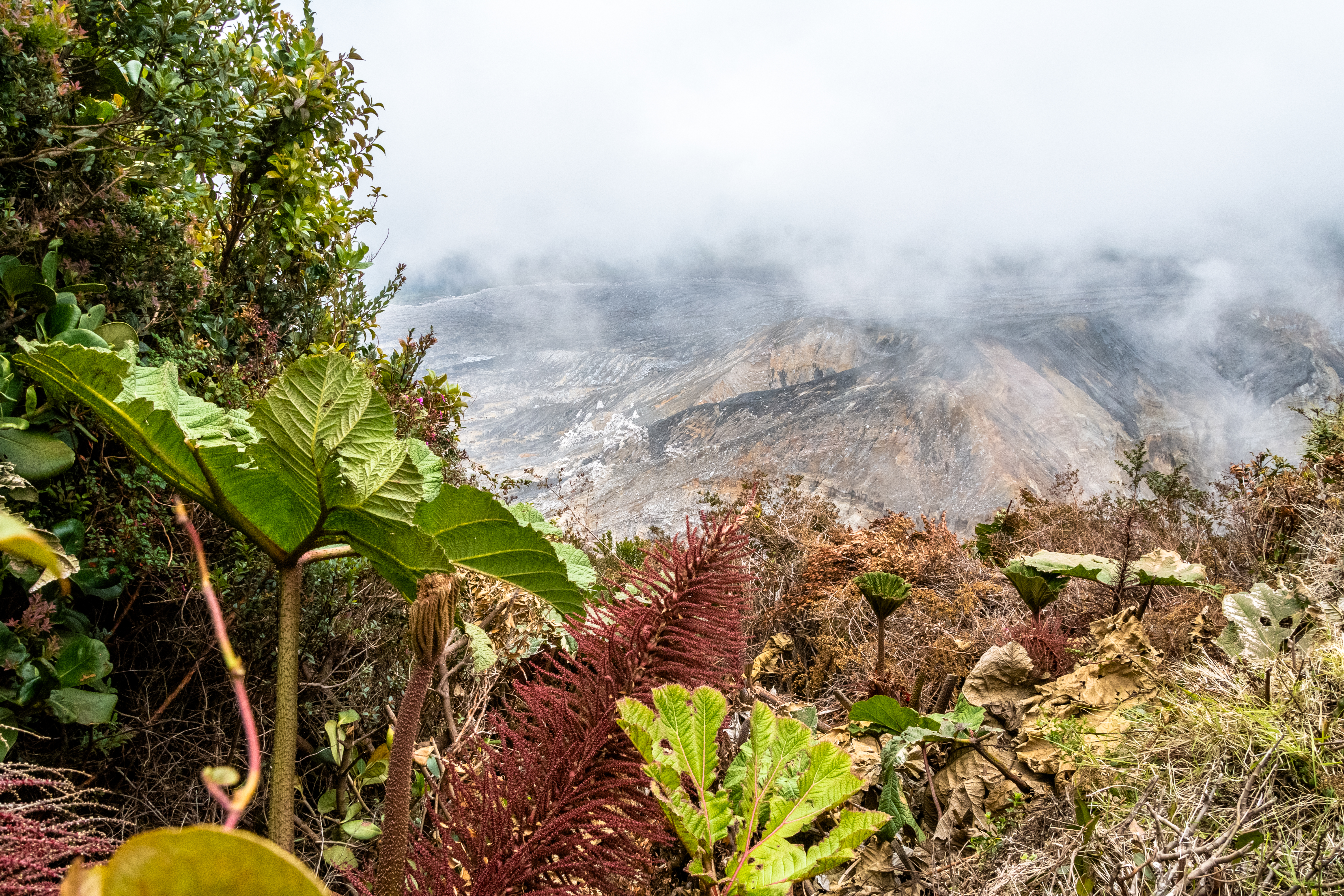Poás volcano, Costa Rica