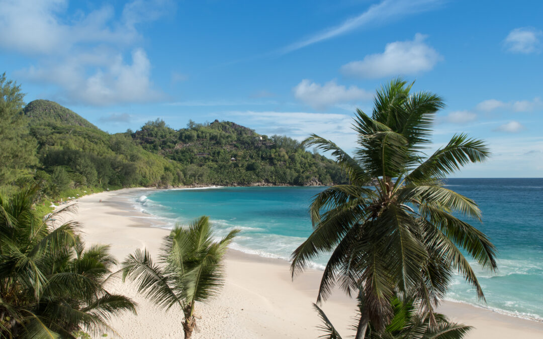 The buried treasure of the Seychelles