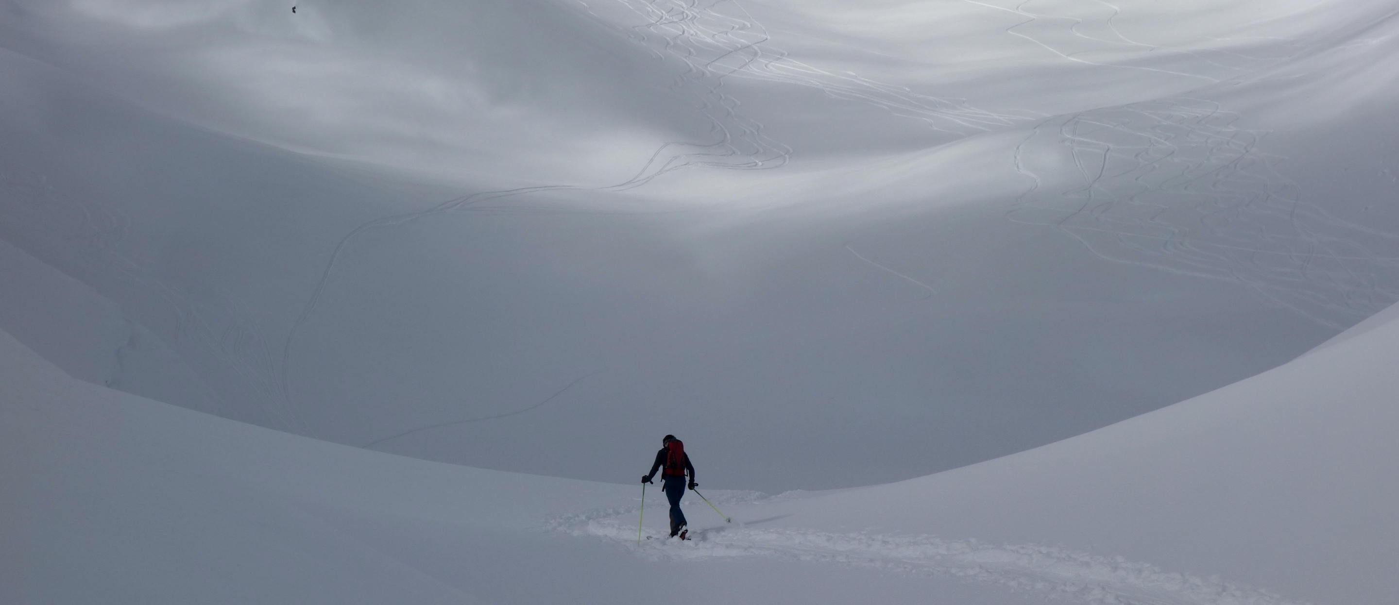 DI_Walking In Snow