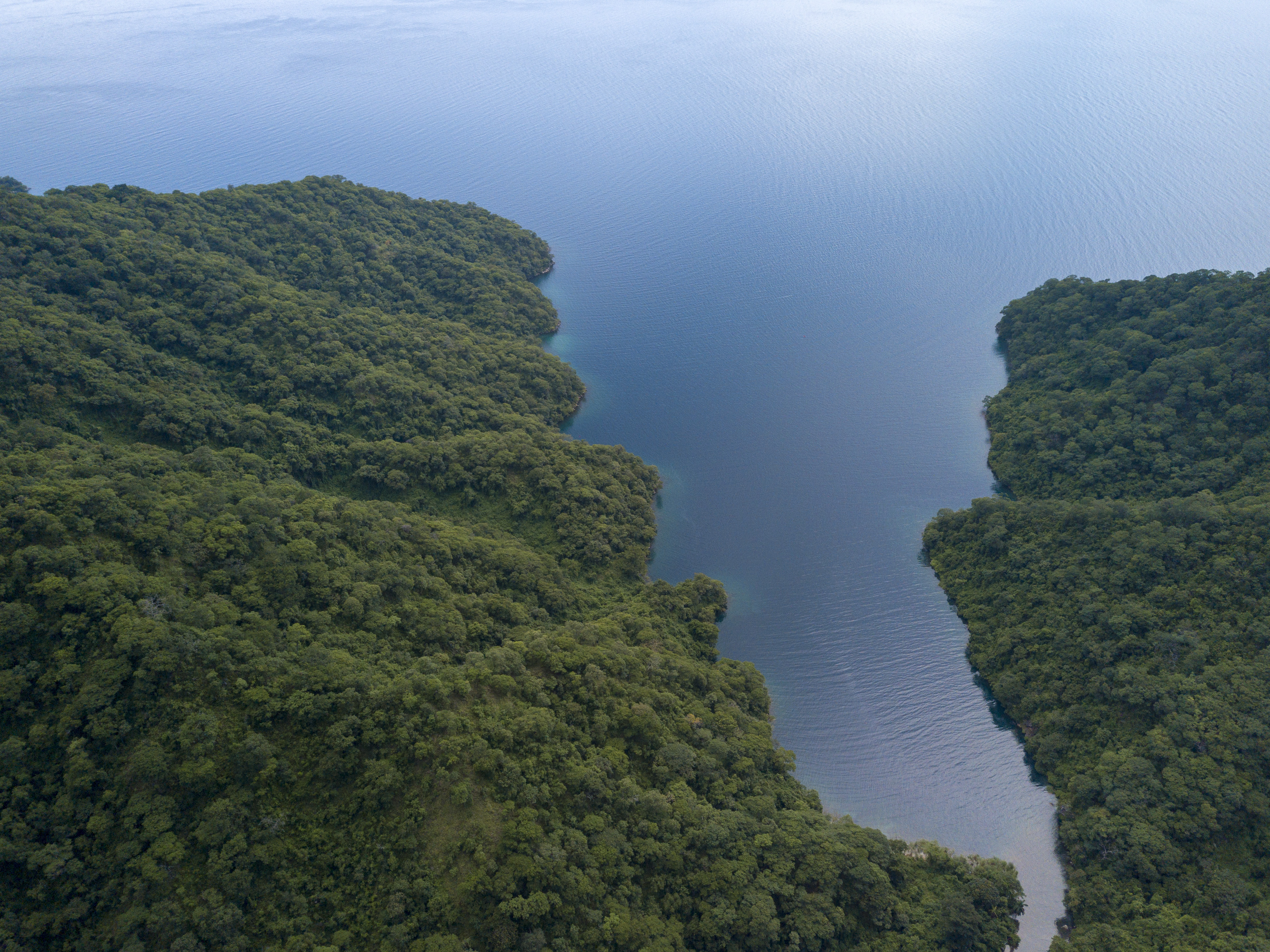 DJI_0550