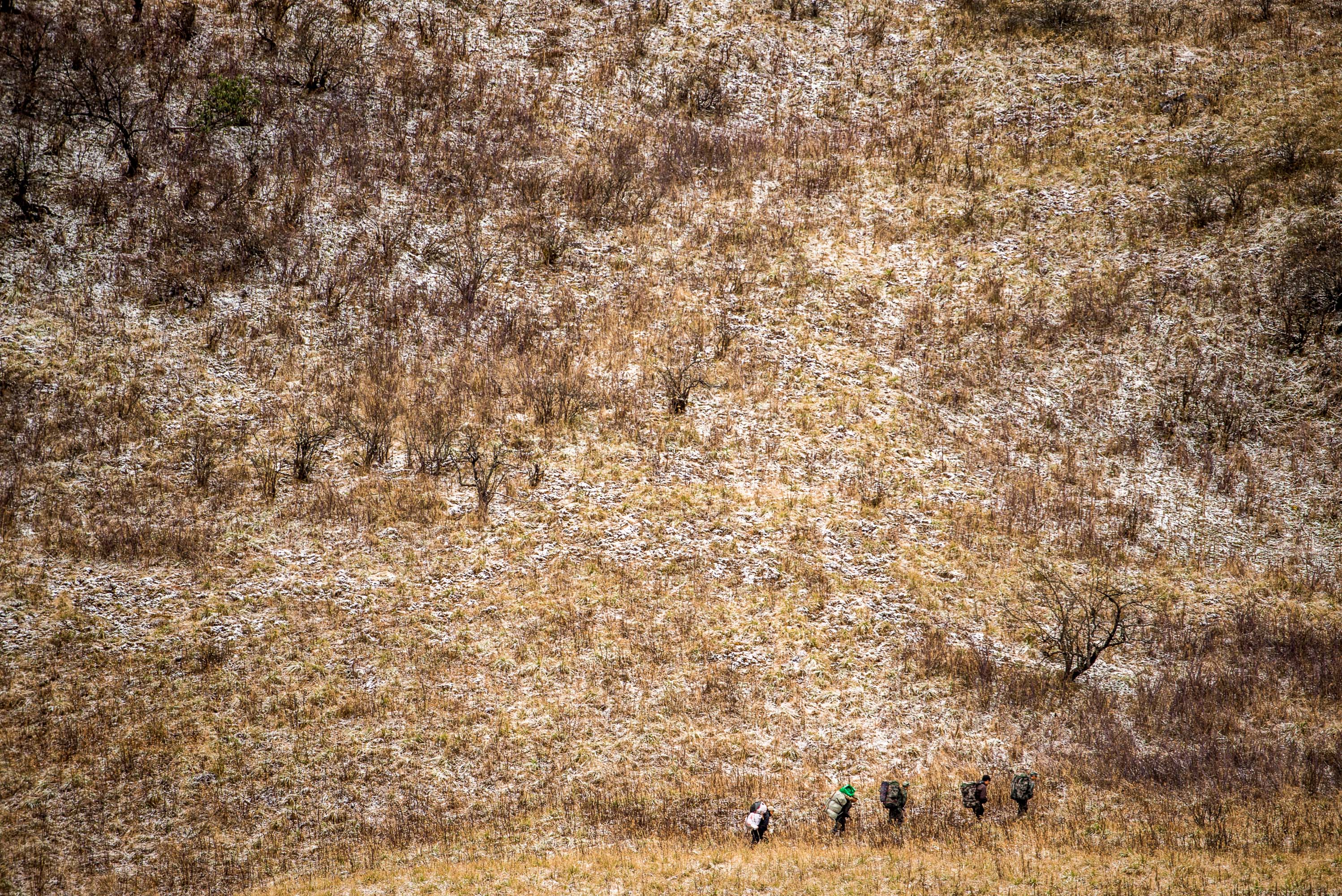 DSC_3755