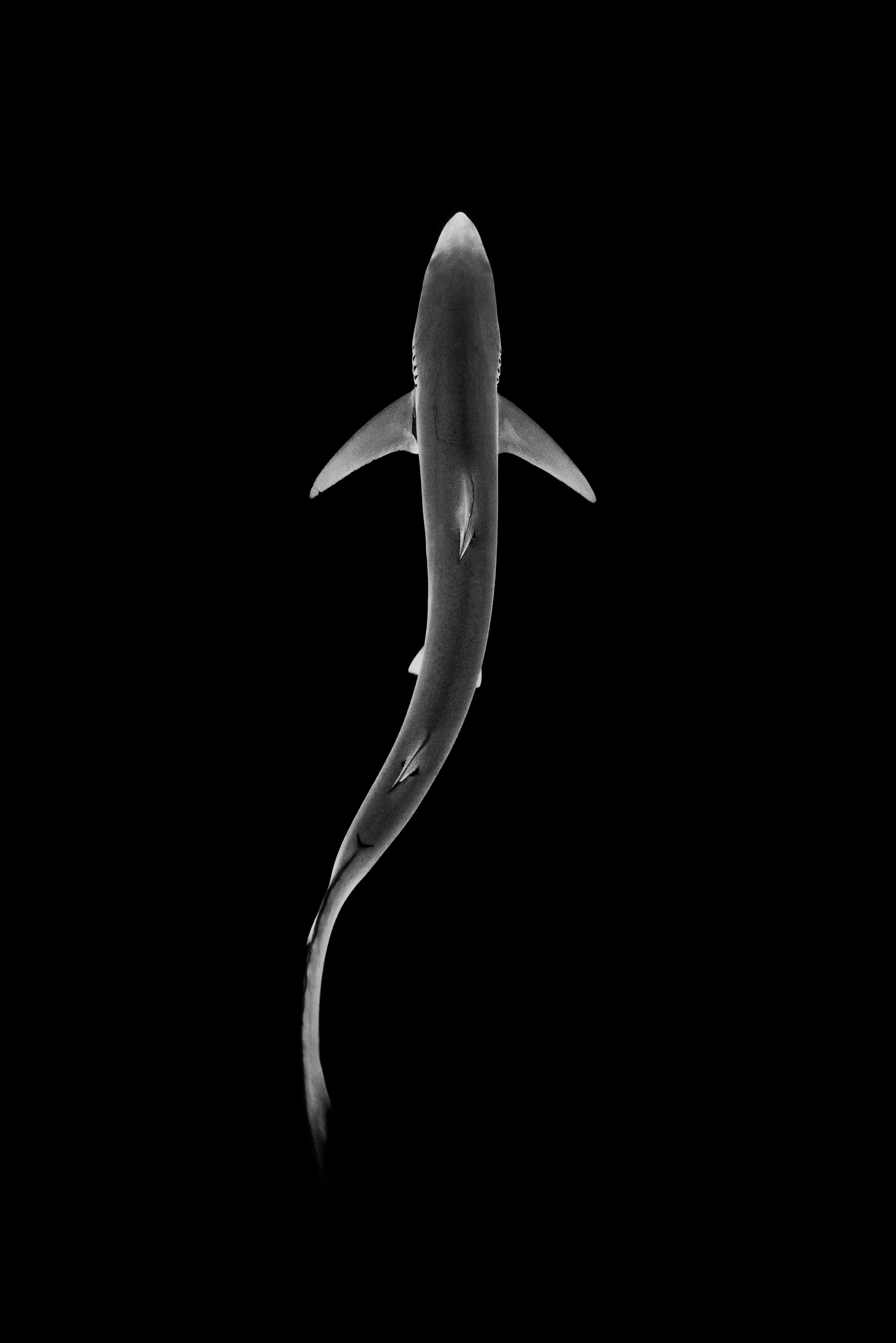 Freediving with James Monnington