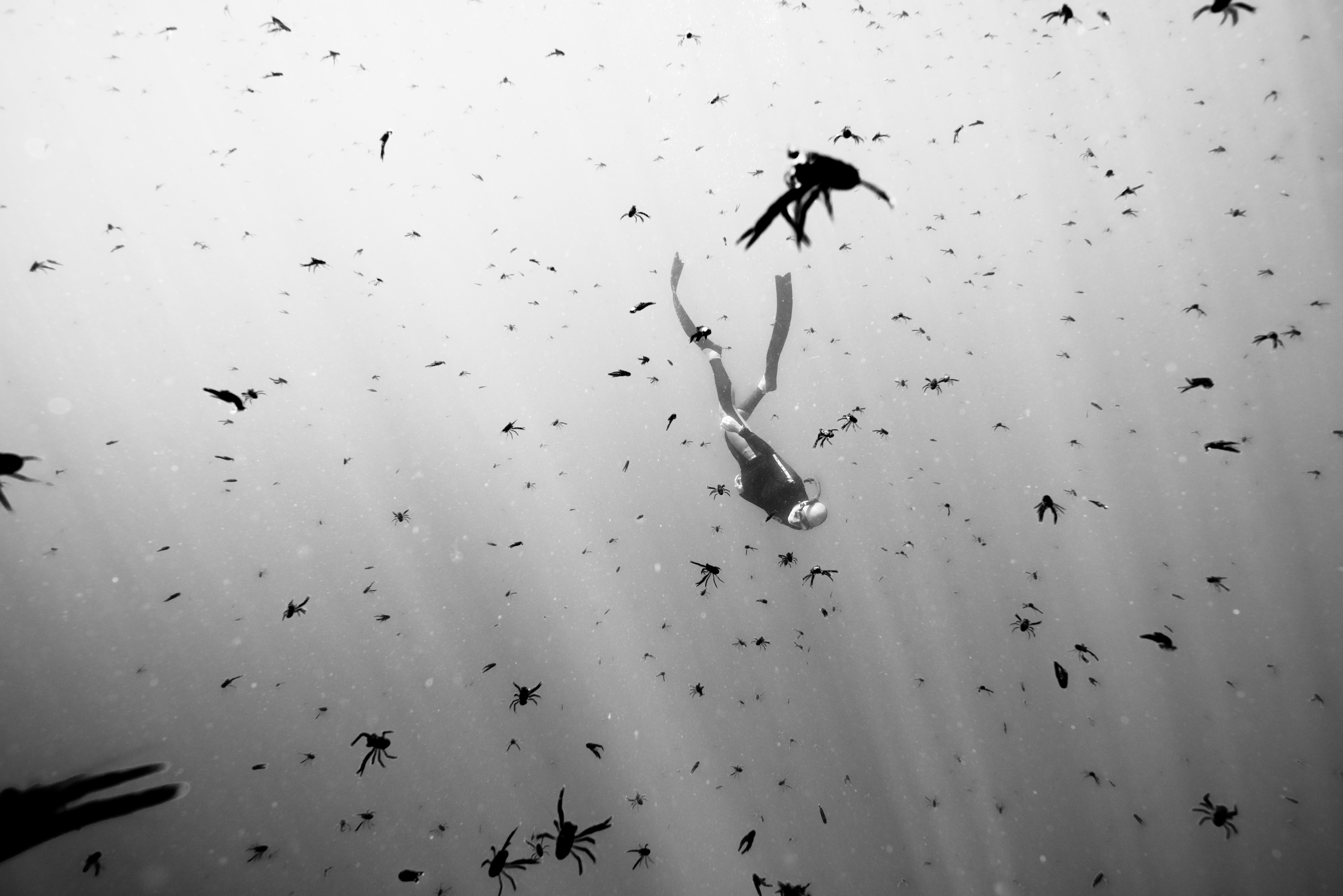 JamesMonnington-Martin Bouffard freediving in Pacifc Ocean, Mexico