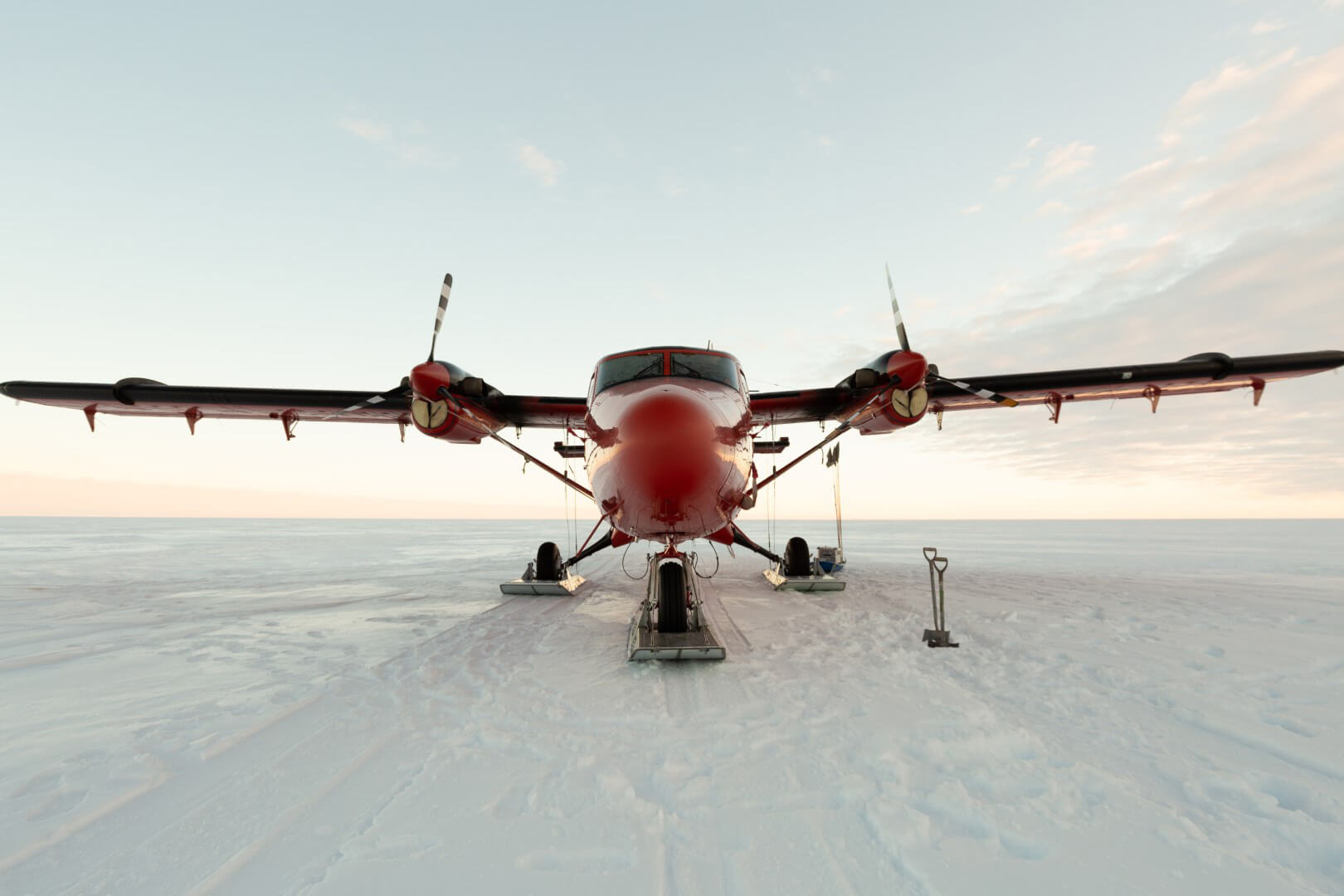 Twin otter (Large)