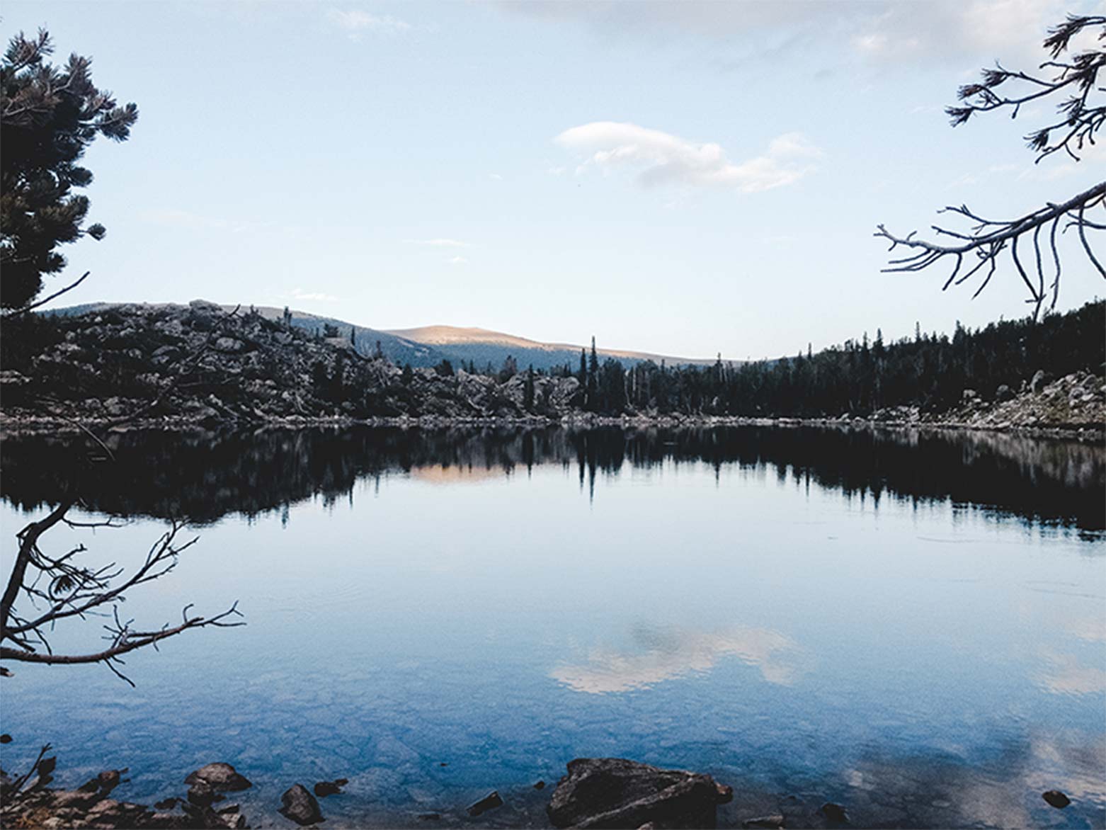 sylvan_a_bartee-1
