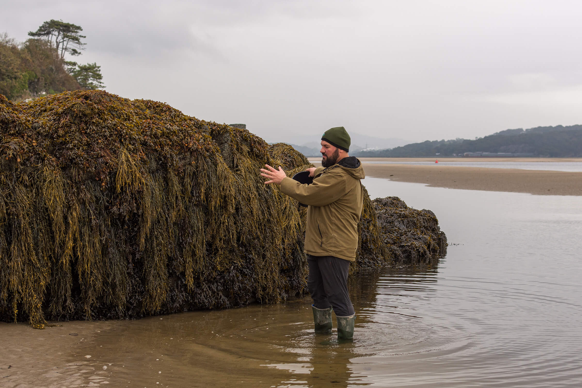 Coastal Foraging Course North Wales 2019-3