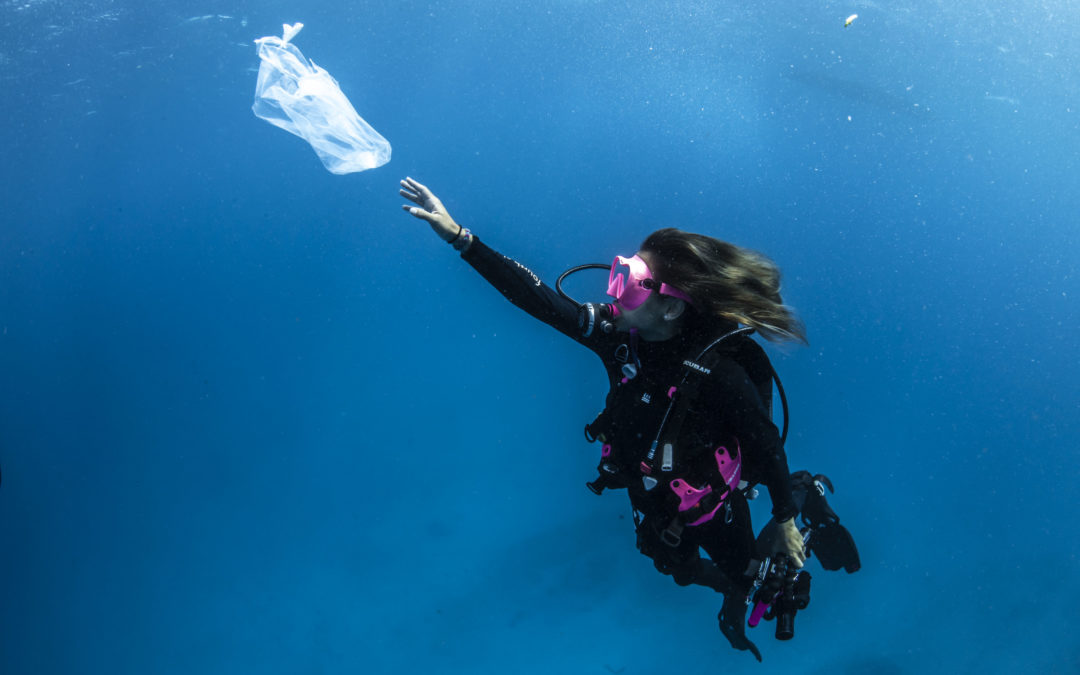 Taking the Plunge against Plastic
