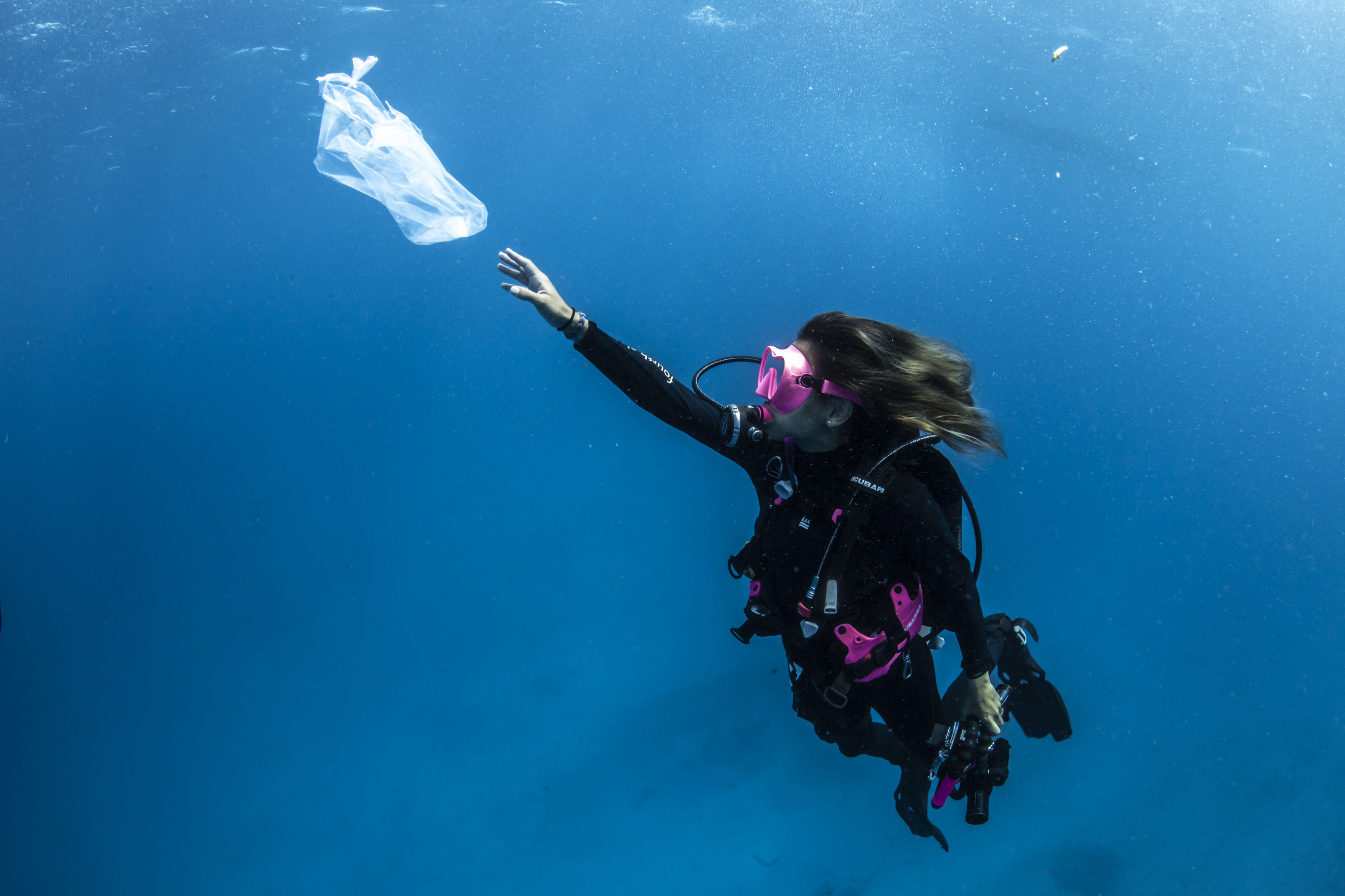 Taking the Plunge against Plastic