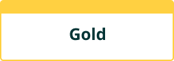 InsureandGo Gold