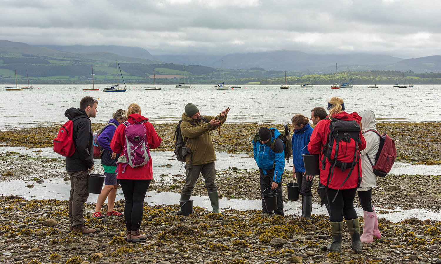 Professional Coastal Foraging Course North Wales 2019-21