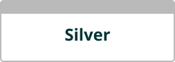 InsureandGo Silver