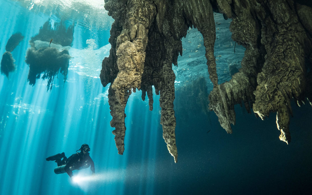 Diving in the Dark