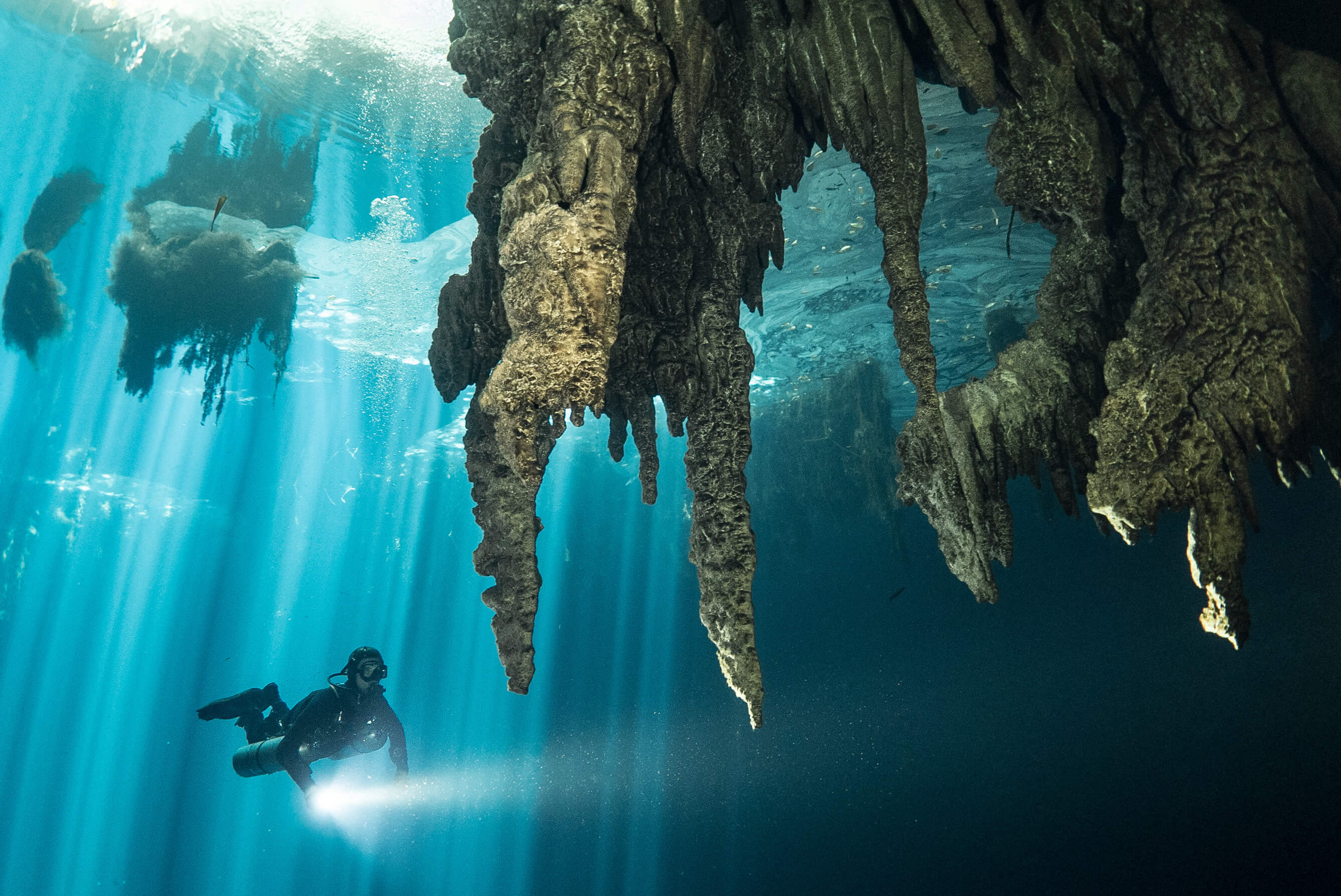 Diving in the Dark