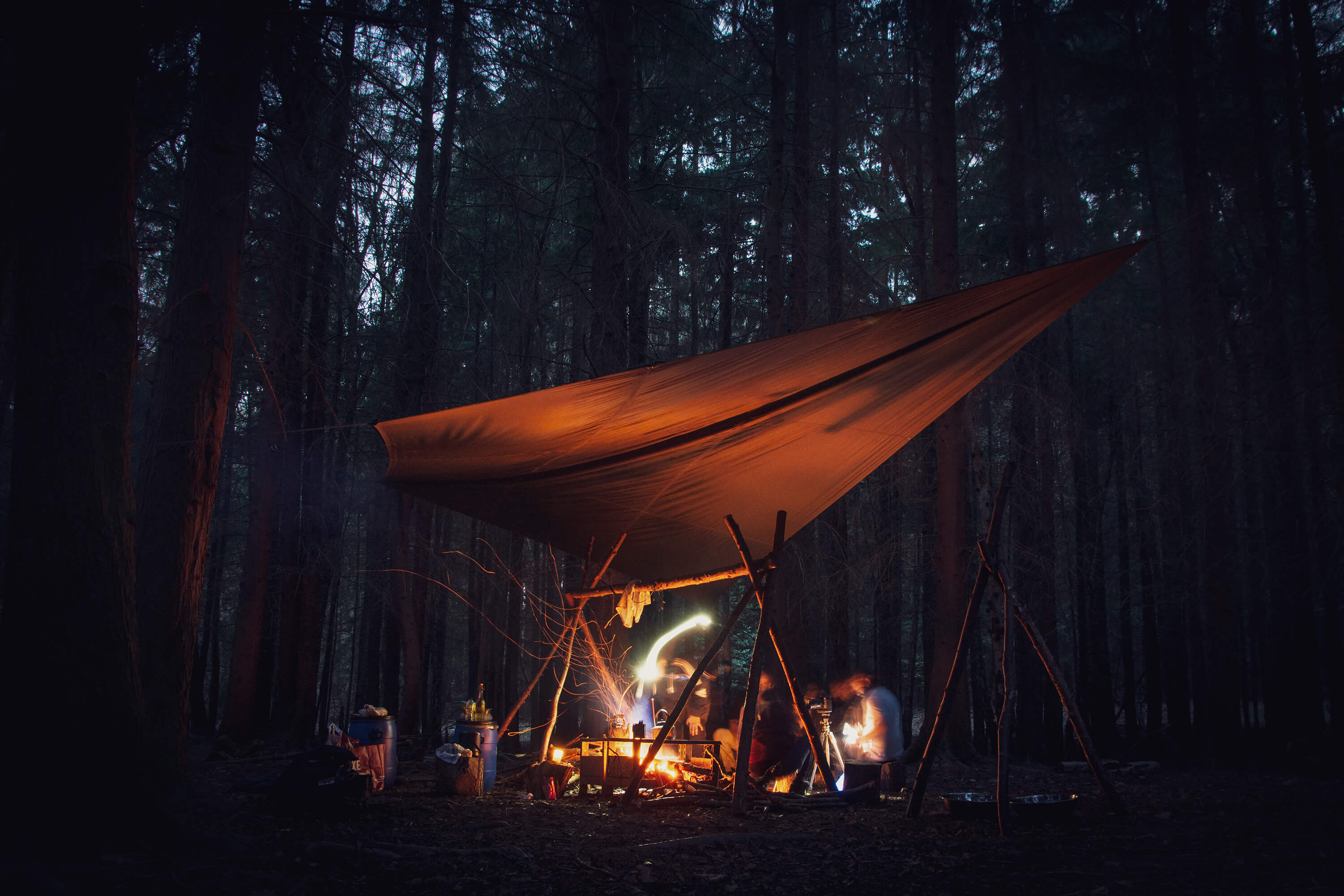 Led into the wilderness