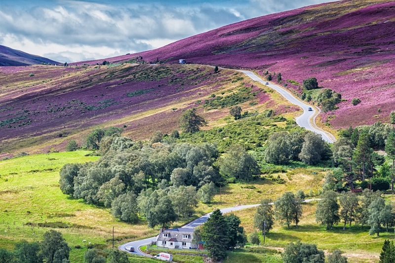 A road winds through pretty hills