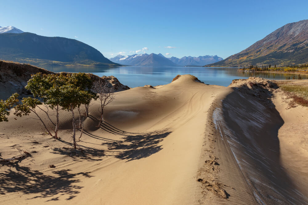 Carcross Desert | Canada