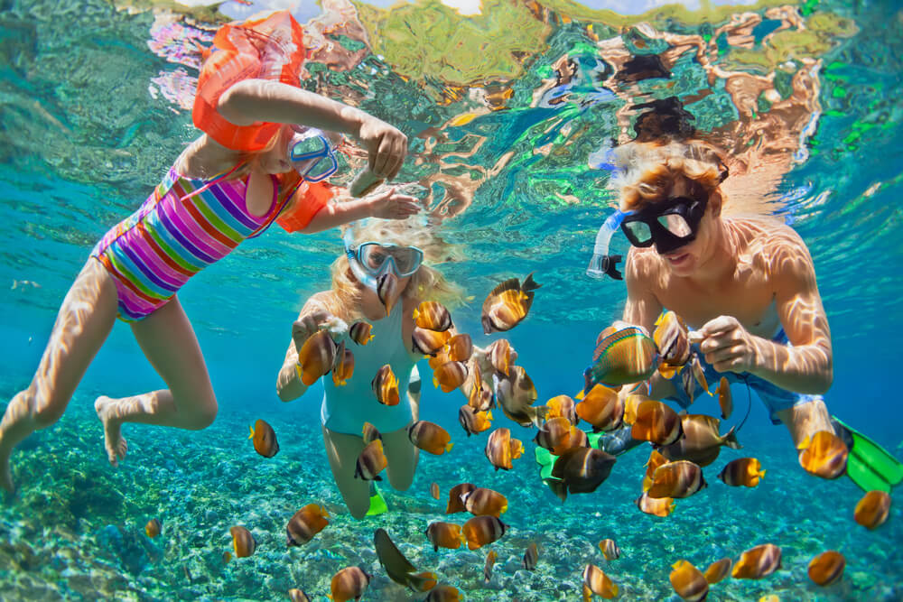 Travel News – Passport price increase leads to expected 10-week wait for holidaymakers